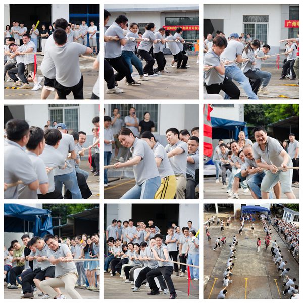 赛场逐鹿,团队争雄